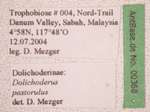 Dolichoderus pastorulus Dill, 2002 Label