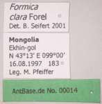 Formica orangea Seifert & Schultz, 2009 Label
