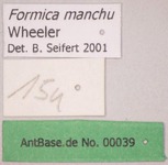 Formica manchu Wheeler, 1929 Label