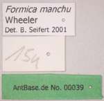 Formica manchu Wheeler, 1929 Label