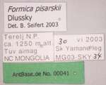 Formica pisarskii Dlussky, 1964 Label