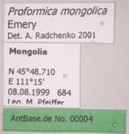 Proformica mongolica Emery, 1901 Label