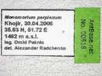Trichomyrmex perplexus Radchenko, 1997 Label