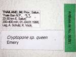 Cryptopone sp. 1 queen Label