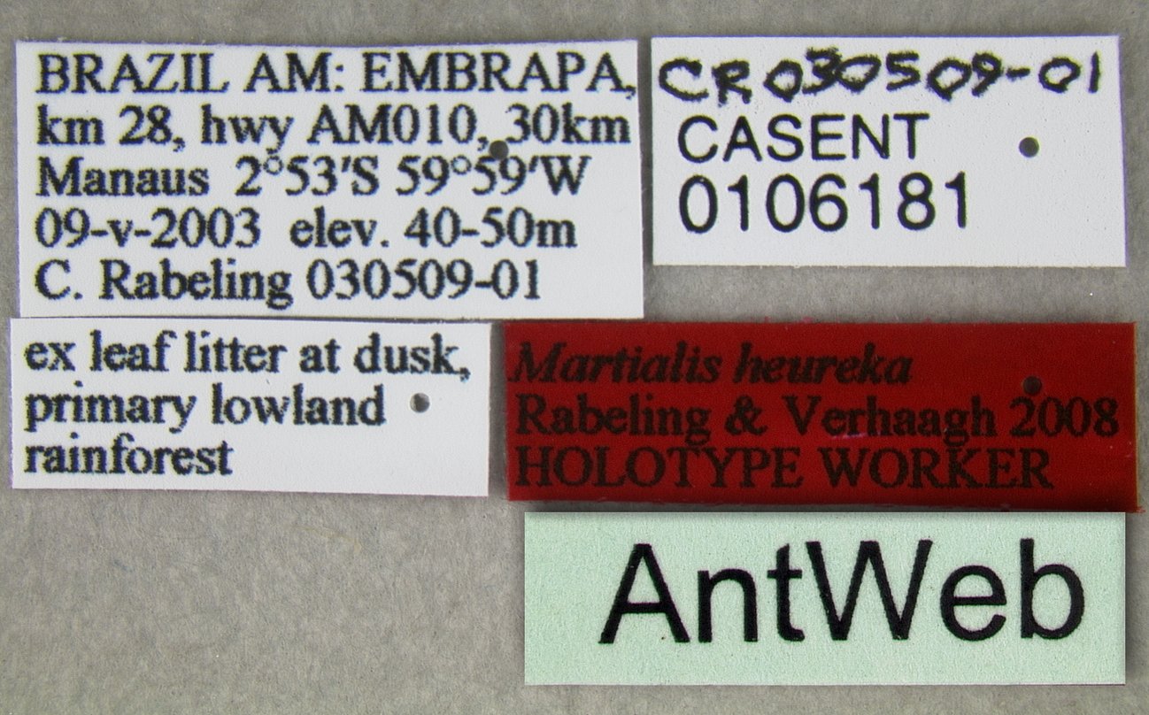 label of Martialis heureka