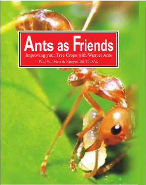 Ants as Friends