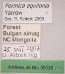 Formica aquilonia Yarrow, 1955 Label