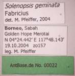 Solenopsis geminata Fabricius, 1804 Label