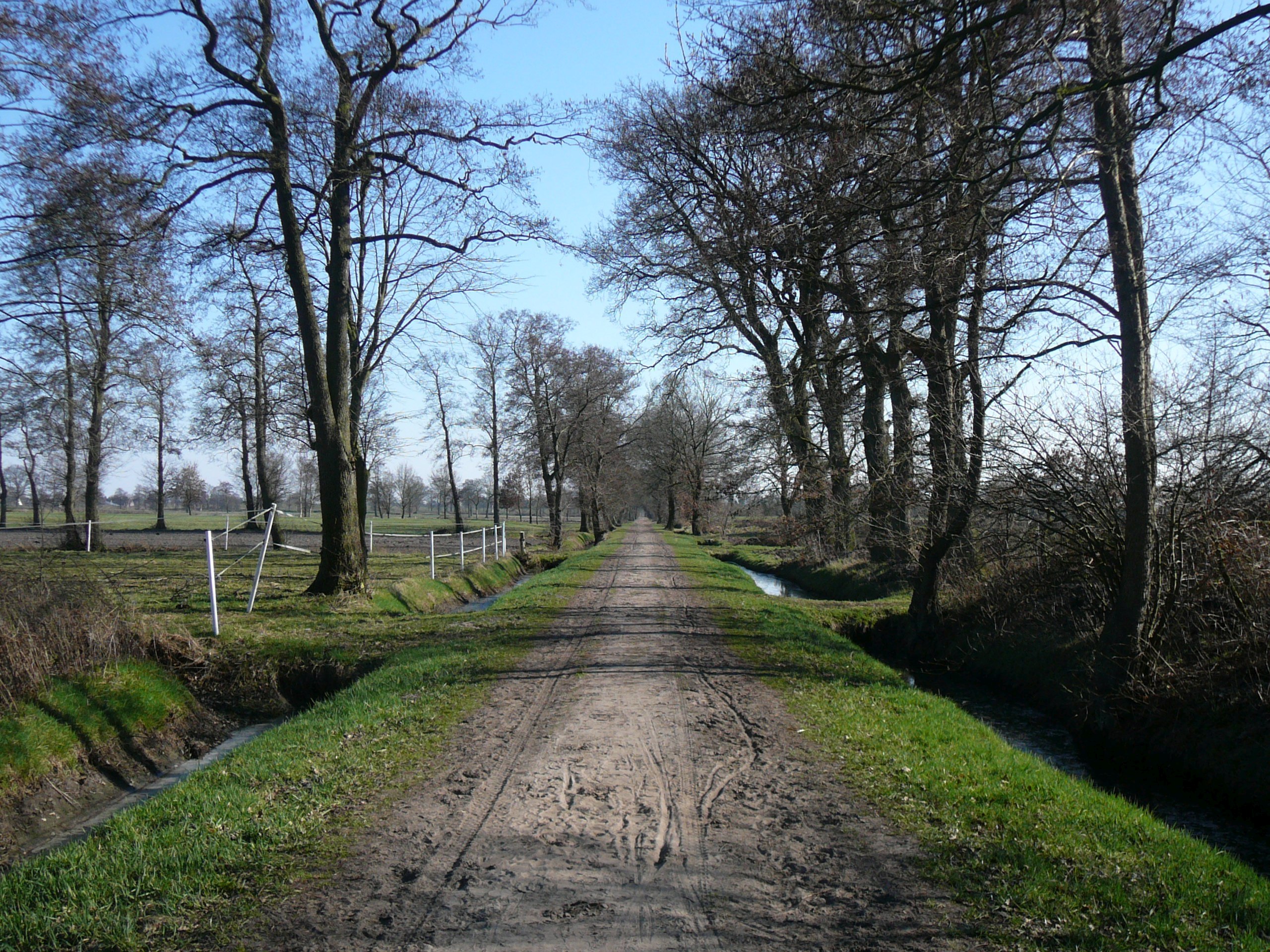 Lowlands in Northern Germany